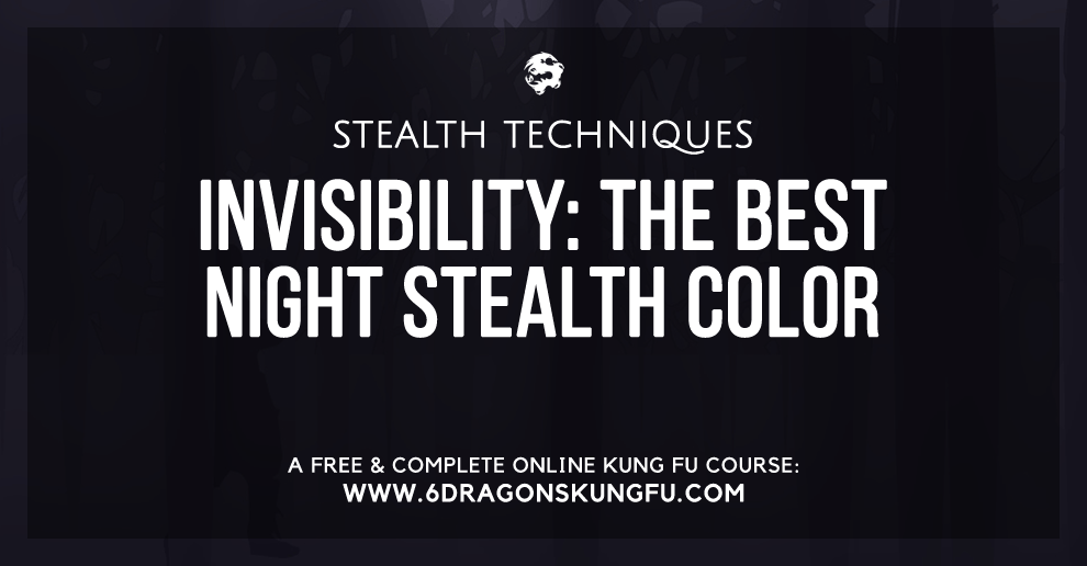 nativo laberinto maximizar Invisibility: the best night stealth color - 6DRAGONSKUNGFU.COM