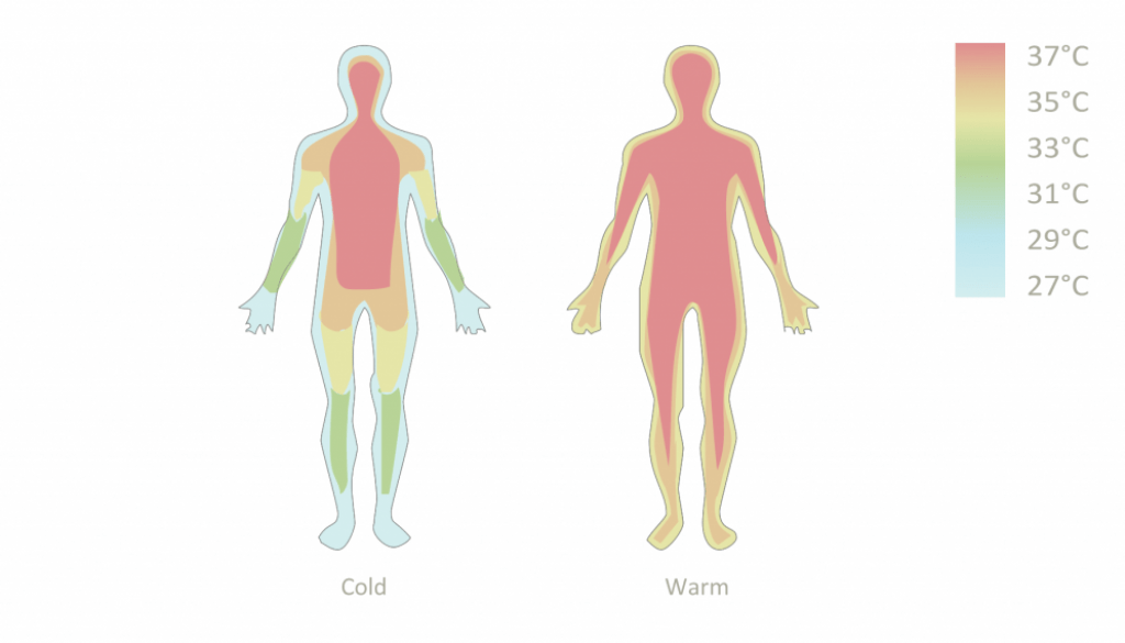 how_to_control_the_perception_of_cold