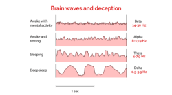 Deception and brain waves
