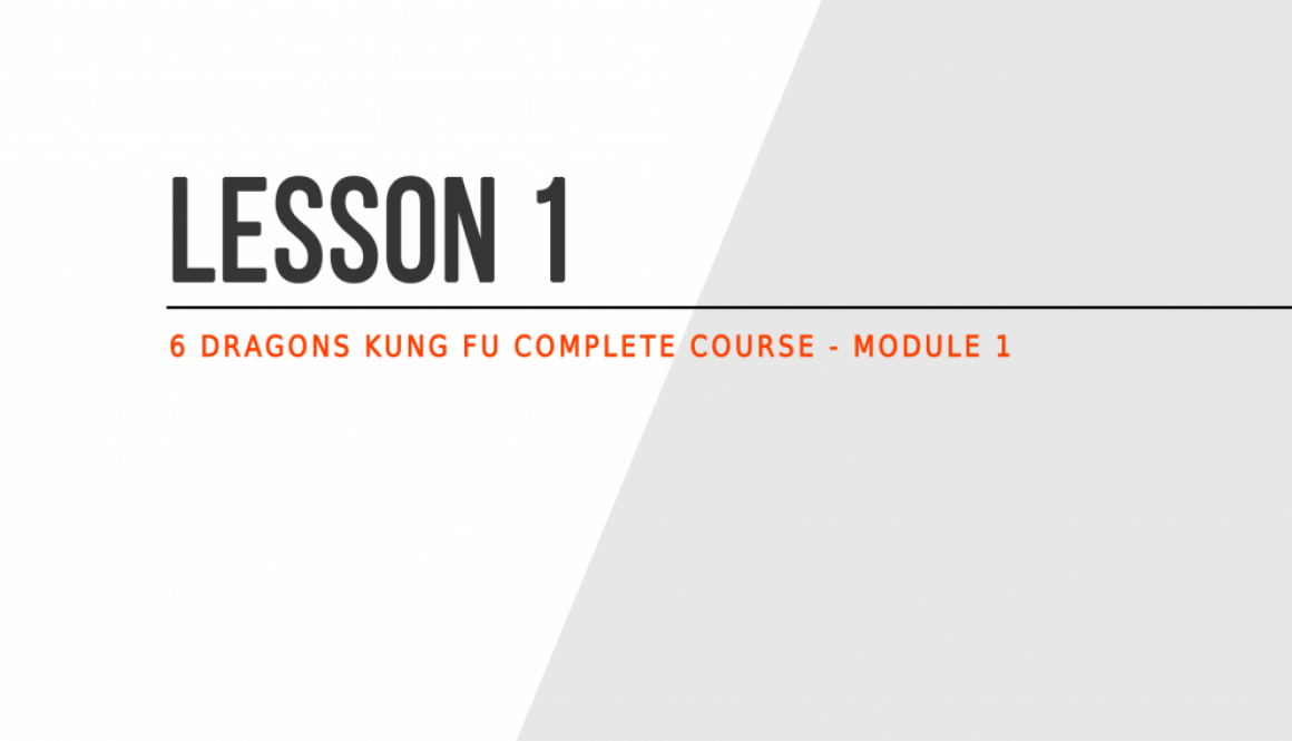Lesson 1 of the free Kung Fu Course (module 1)