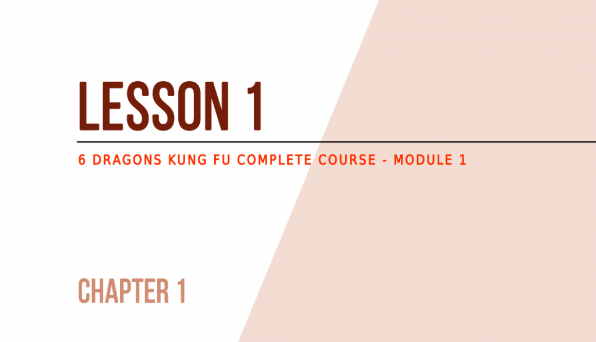 Lesson 1 (chapter 1) of the free Kung Fu Course (module 1)