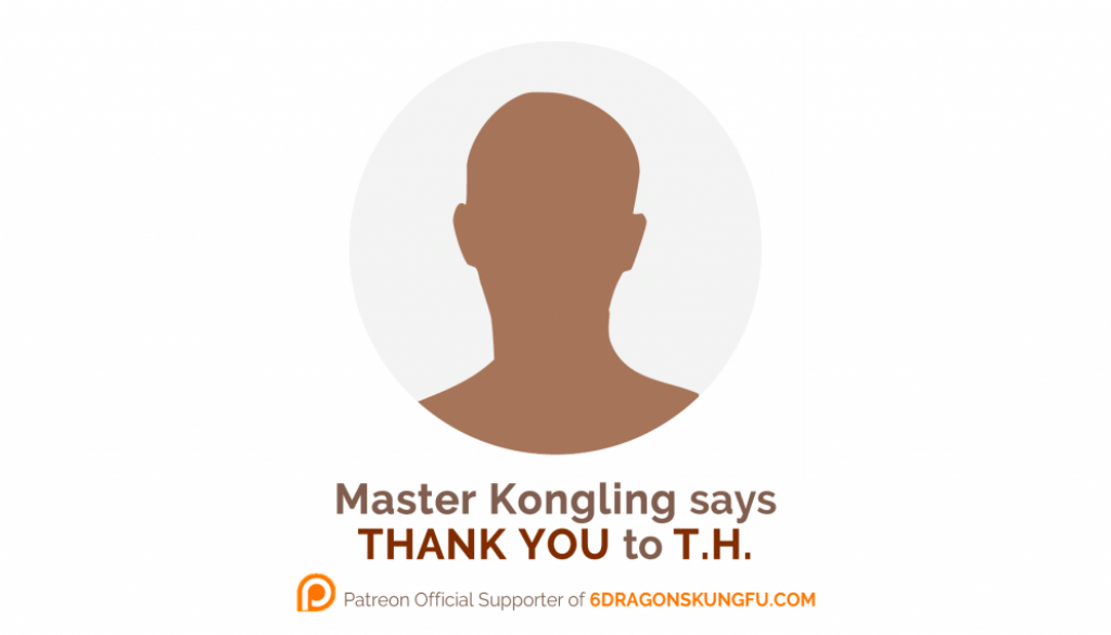 the_1st_6_dragons_kung_fu_s_donor_thank_you