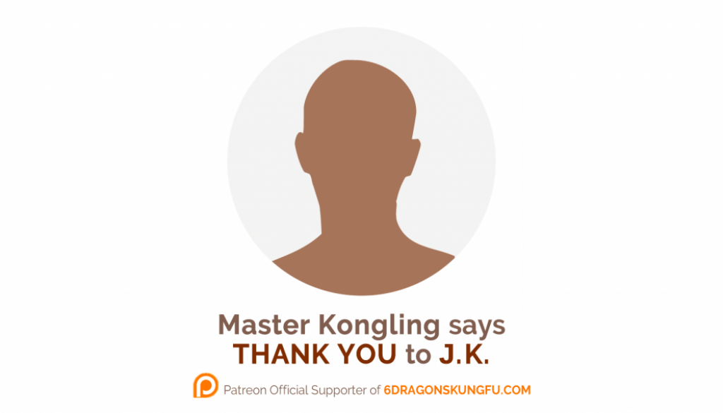 the_2nd_6_dragons_kung_fu_donor_thank_you