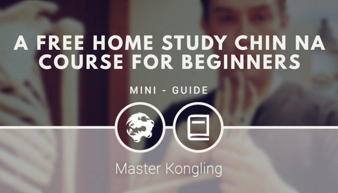 a_free_home_study_chin_na_course_for_beginners