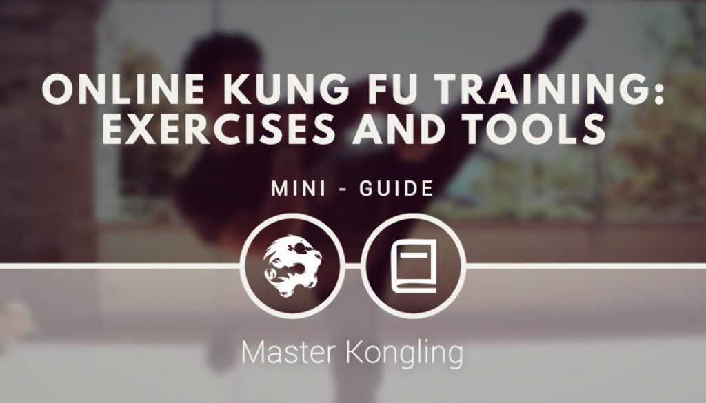 online_kung_fu_training_exercises_and_tools