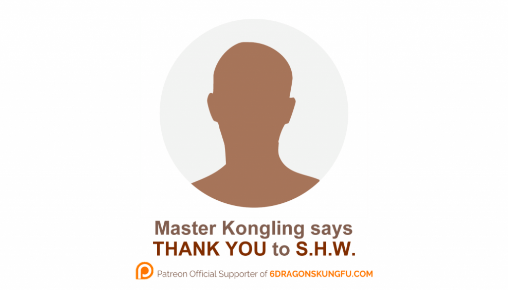 new_6_dragons_kung_fu_s_donor_thank_you_s_h_w