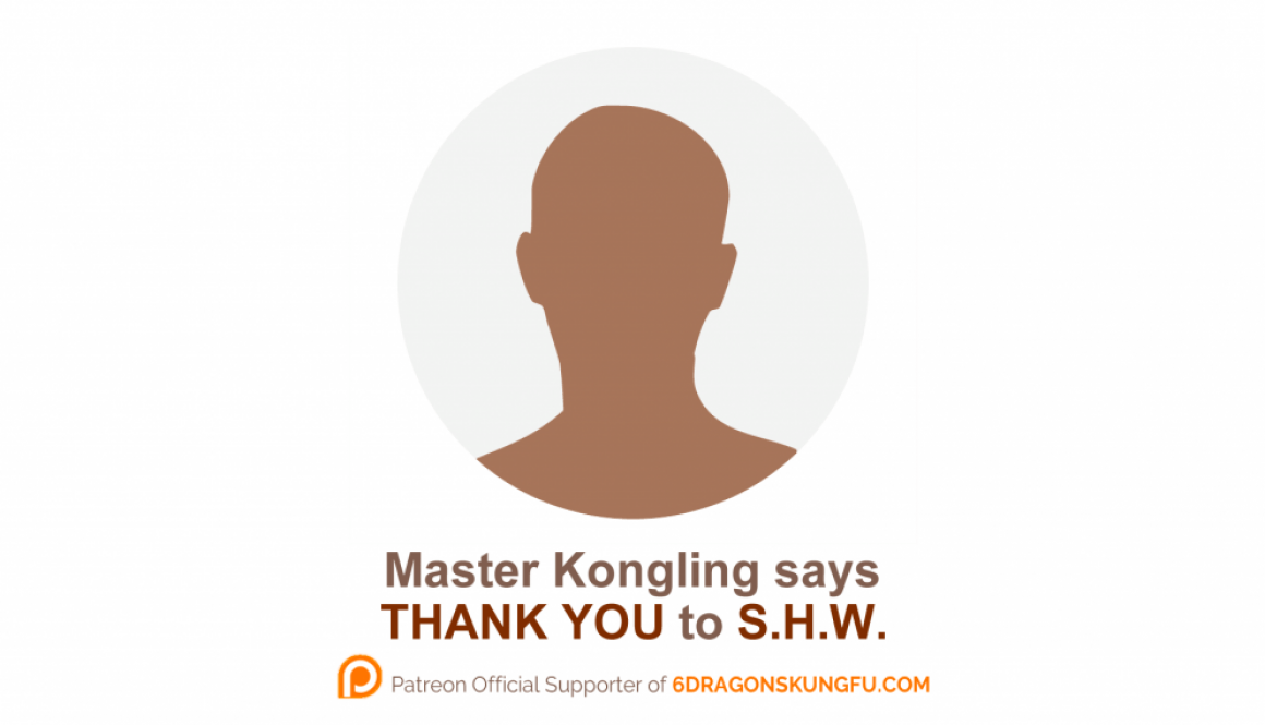 new_6_dragons_kung_fu_s_donor_thank_you_s_h_w