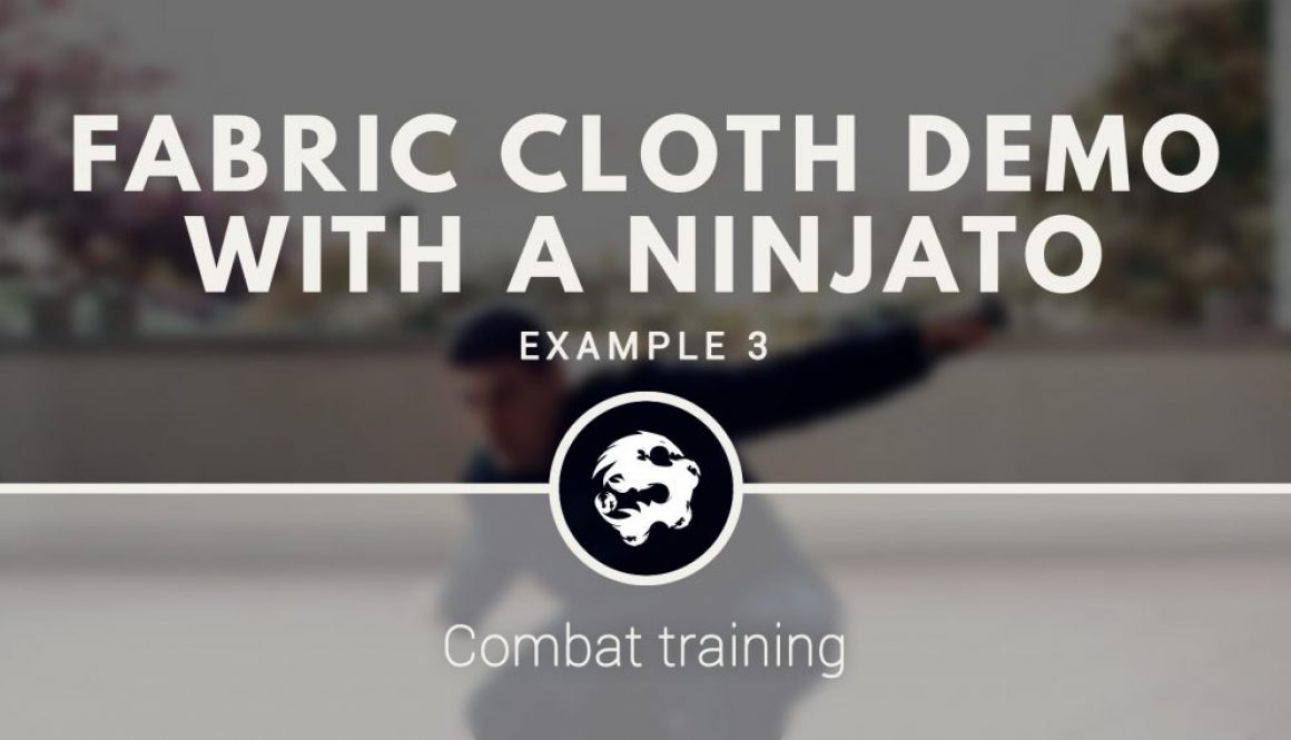 6_dragons_kung_fu_s_fabric_cloth_training_with_a_ninjato