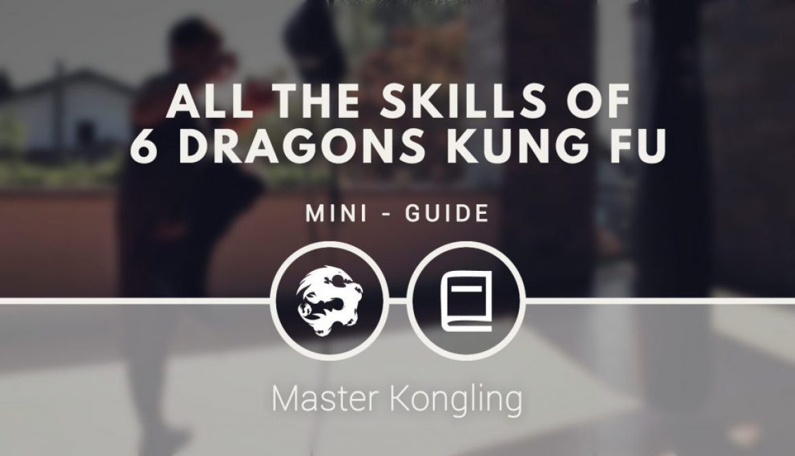 all_the_skills_of_6_dragons_kung_fu