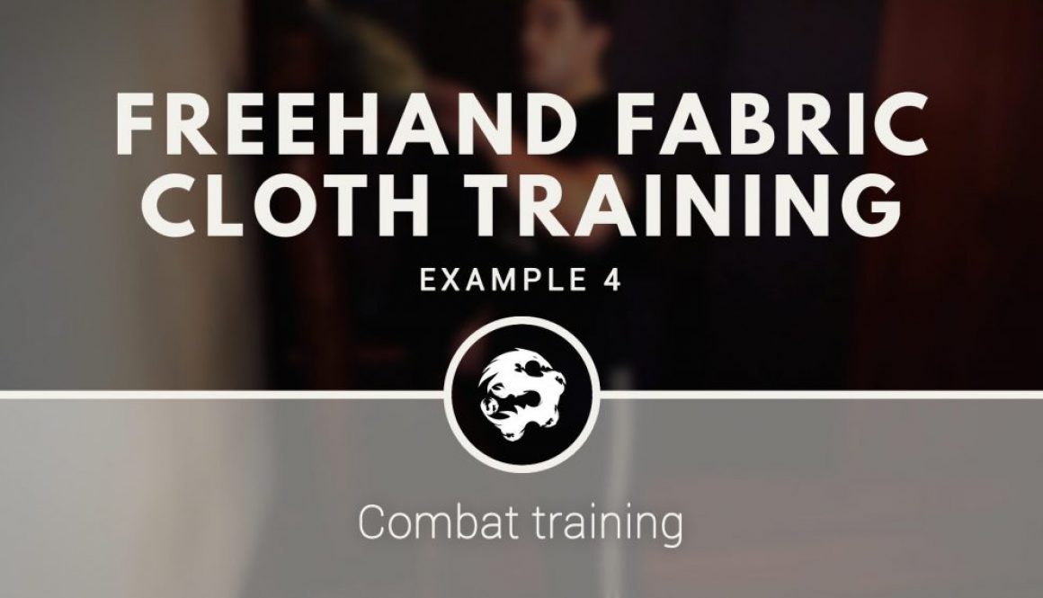 6_dragons_kung_fu_s_fabric_cloth_training_demo