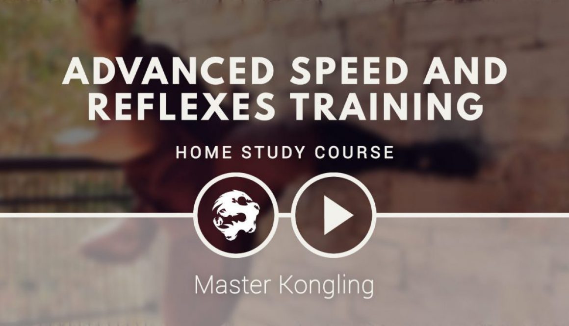advanced_speed_and_reflexes_training