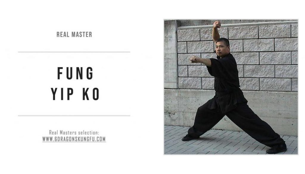 fung_yip_ko_real_master