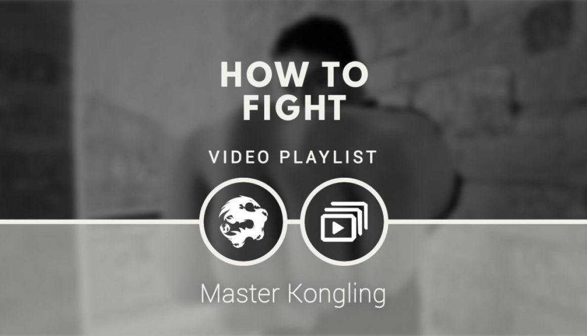 how_to_fight_video_playlist