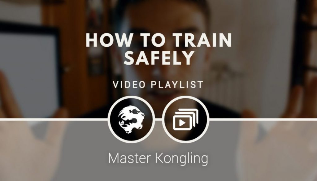 learn_kung_fu_online_free_introductory_video_course