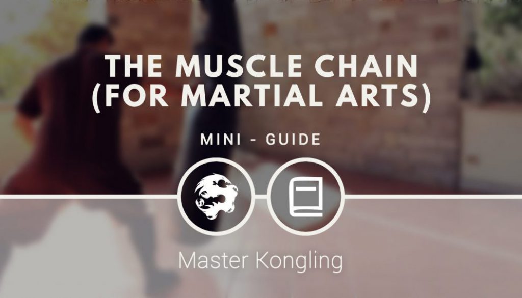 the_muscle_chain_for_martial_arts_mini_guide