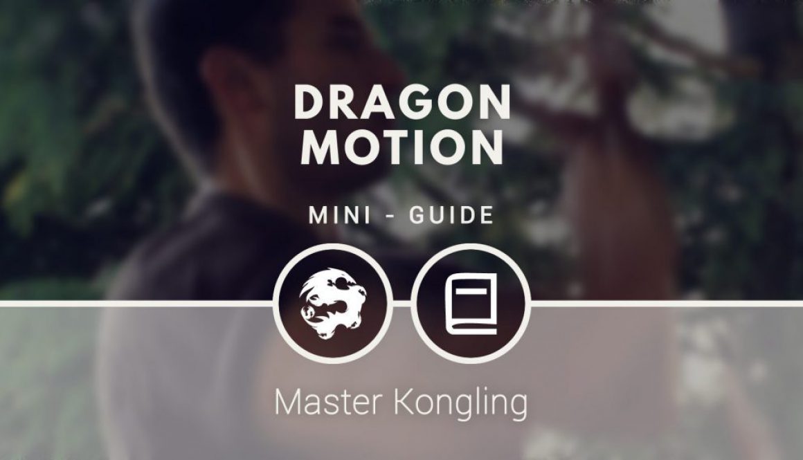 dragon_motion_mini_guide