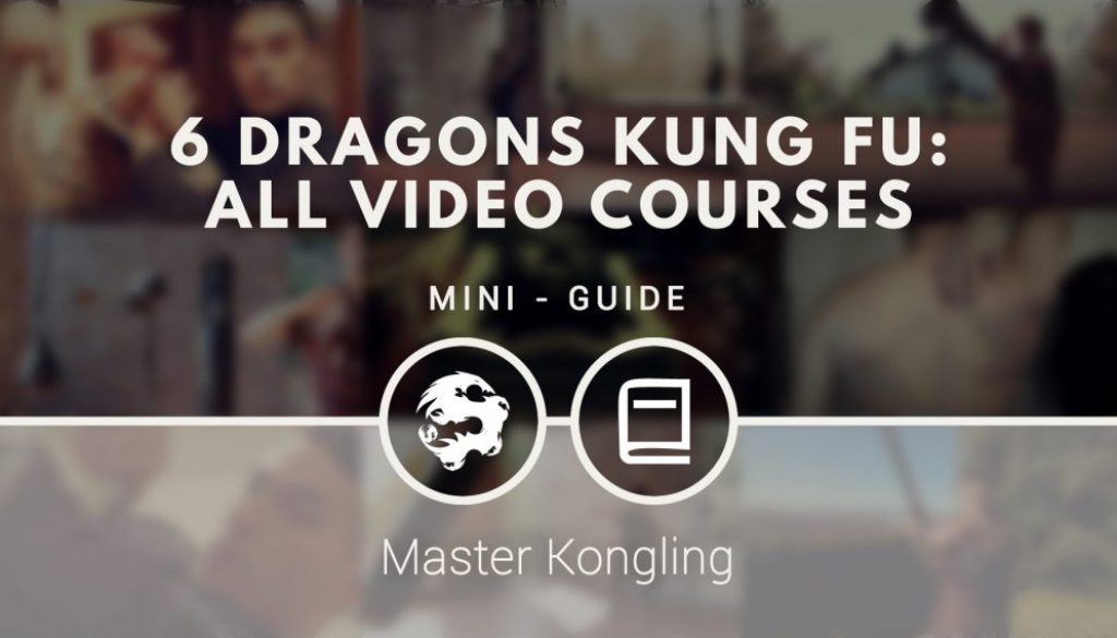 A list of all the video courses that 6 Dragons Kung Fu offers