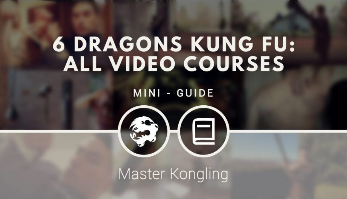 A list of all the video courses that 6 Dragons Kung Fu offers