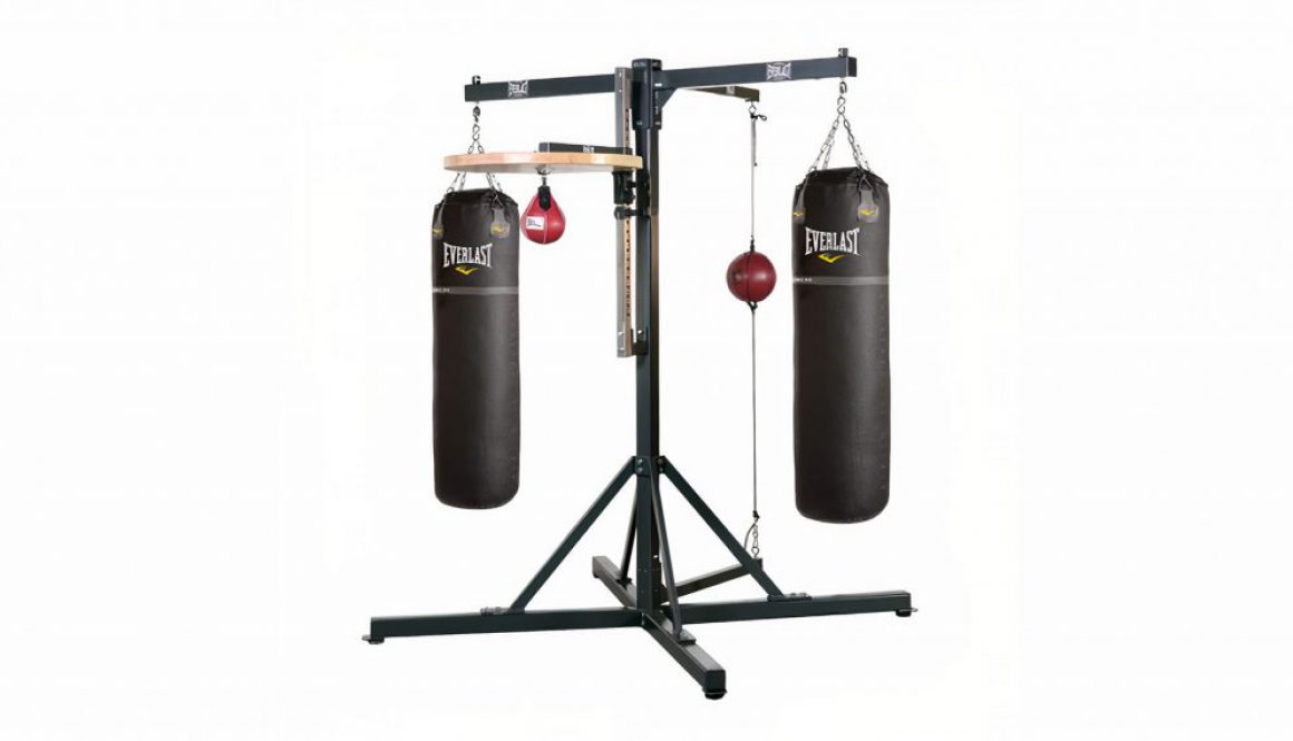 pro_4_station_boxing_gym