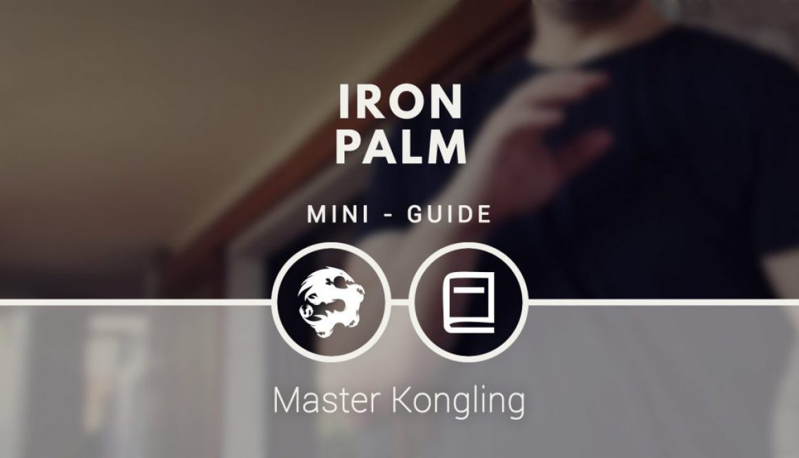 iron_palm_mini_guide