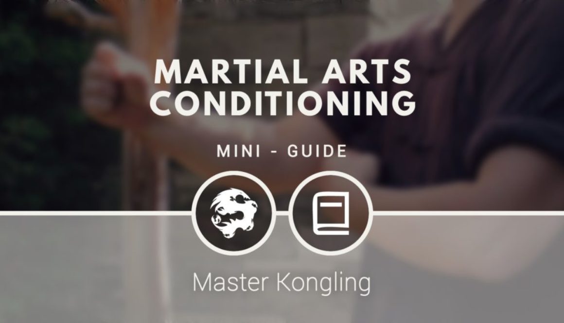 martial_arts_conditioning_mini_guide