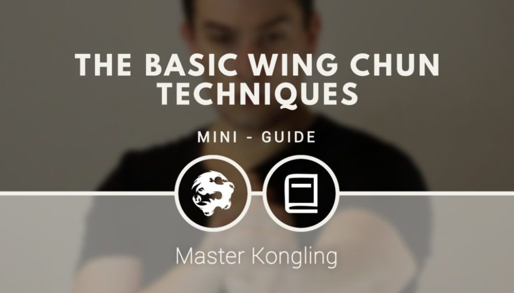 the_basic_wing_chun_techniques