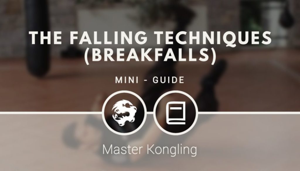 the_falling_techniques_breakfalls_mini_guide