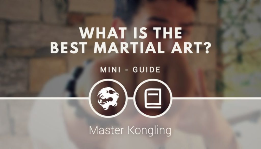 what_is_the_best_martial_art_mini_guide