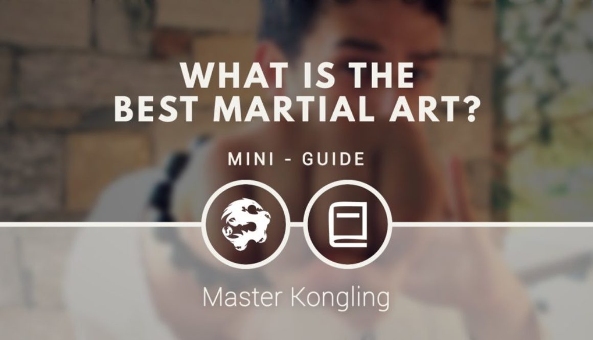 what_is_the_best_martial_art_mini_guide