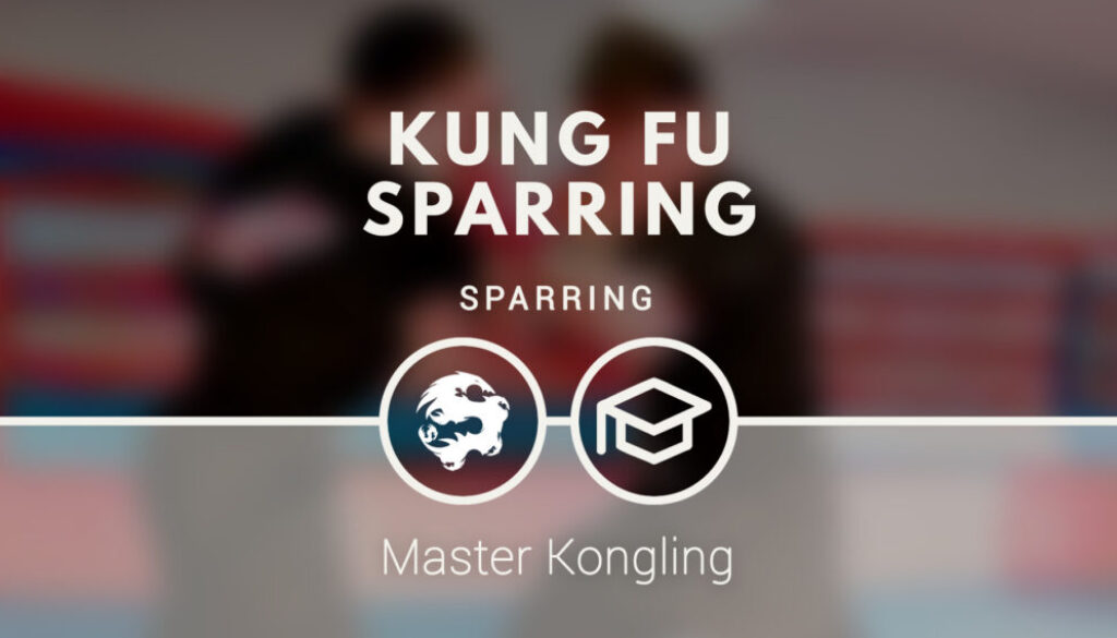 kung_fu_sparring