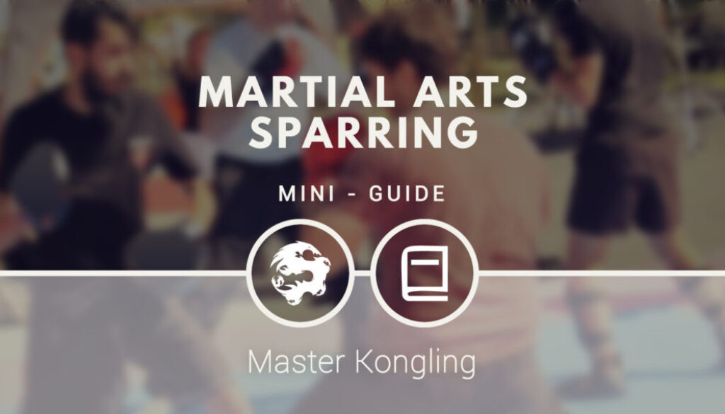 the_meaning_of_sparring_fighting_in_martial_arts