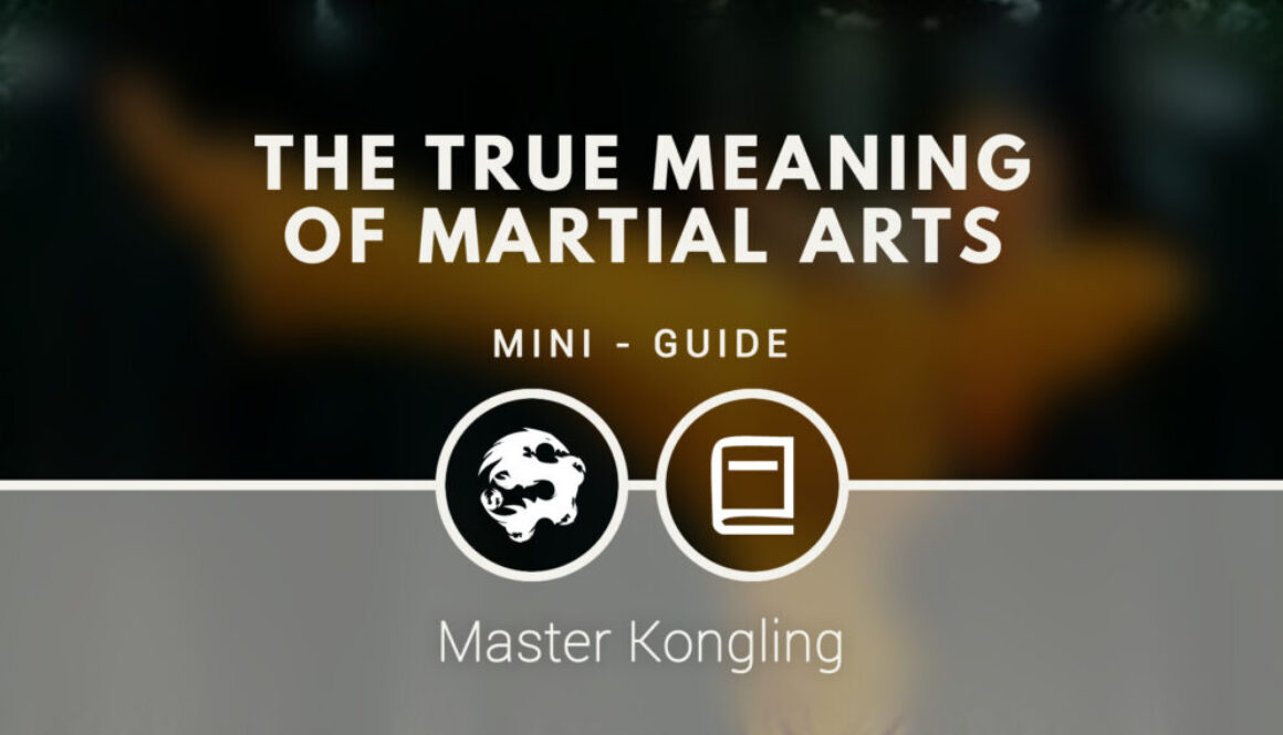 the_true_meaning_of_martial_arts_mini_guide
