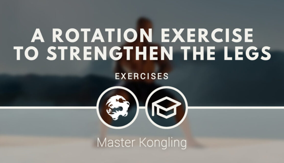 martial_arts_a_rotation_exercise_to_strengthen_the_legs