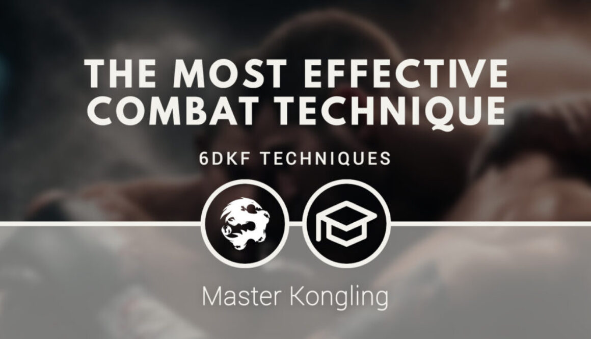 the_most_effective_combat_technique