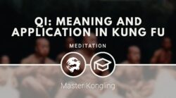 Qi: meaning and application in Kung Fu
