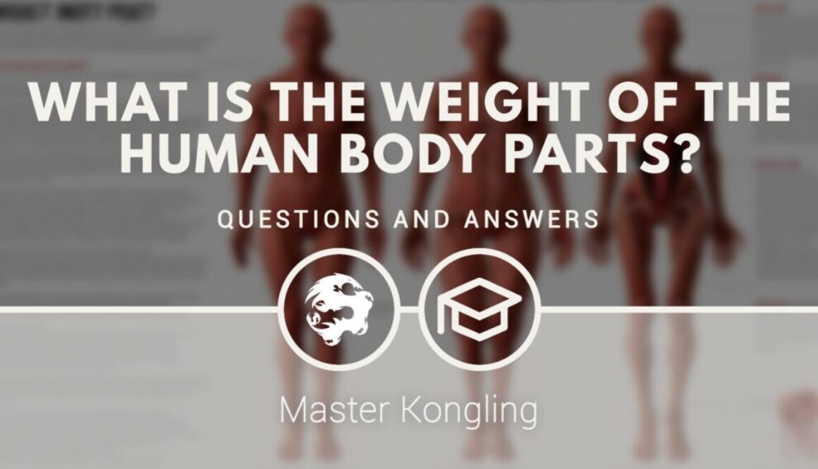 what_is_the_weight_of_the_human_body_parts